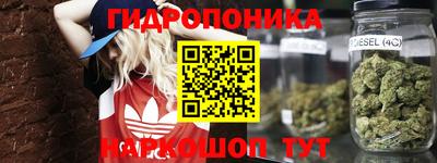 ECSTASY Рыбинск