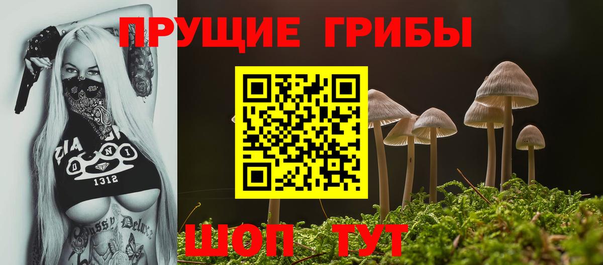 Галлюциногенные грибы GOLDEN TEACHER Сосновоборск