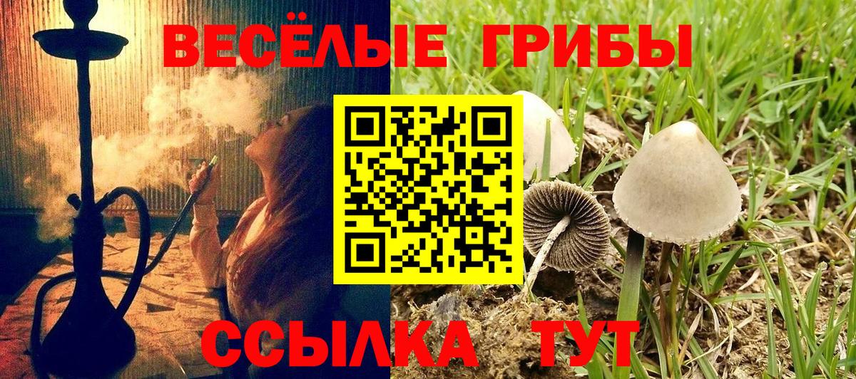 Галлюциногенные грибы MAGIC MUSHROOMS  Галлюциногенные грибы Cubensis  закладка  Сосновоборск 